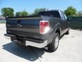 2012 Sterling Gray Metallic Ford F150 XLT SuperCab  photo #3