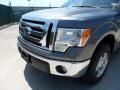 2012 Sterling Gray Metallic Ford F150 XLT SuperCab  photo #10