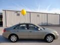Camel Pearl - Sonata GLS Photo No. 9