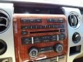 Camel/Tan Controls Photo for 2009 Ford F150 #62967446