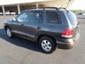 Pewter Gray - Santa Fe GLS 4WD Photo No. 5