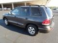 2005 Pewter Gray Hyundai Santa Fe GLS 4WD  photo #5