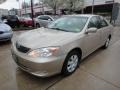 Desert Sand Mica - Camry LE Photo No. 11