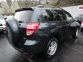 Black Forest Pearl - RAV4 4WD Photo No. 4