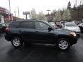 Black Forest Pearl - RAV4 4WD Photo No. 5