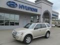 Gold Leaf Metallic 2010 Mercury Mariner I4 4WD