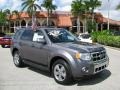 2009 Sterling Grey Metallic Ford Escape Limited  photo #1