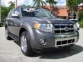 2009 Sterling Grey Metallic Ford Escape Limited  photo #3