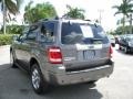 2009 Sterling Grey Metallic Ford Escape Limited  photo #9