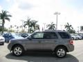 2009 Sterling Grey Metallic Ford Escape Limited  photo #12