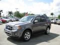 2009 Sterling Grey Metallic Ford Escape Limited  photo #13