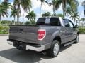 2010 Sterling Grey Metallic Ford F150 XLT SuperCrew  photo #6