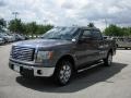 2010 Sterling Grey Metallic Ford F150 XLT SuperCrew  photo #12