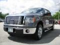 2010 Sterling Grey Metallic Ford F150 XLT SuperCrew  photo #13