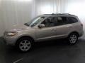 2007 Golden Beige Hyundai Santa Fe Limited  photo #19