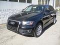 2009 Brilliant Black Audi Q5 3.2 Premium quattro  photo #3