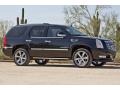 Black Raven 2009 Cadillac Escalade AWD Exterior