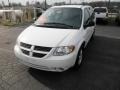 Stone White - Grand Caravan SXT Photo No. 3