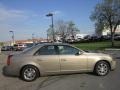 Cashmere - CTS Sedan Photo No. 6