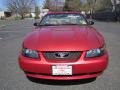 2002 Laser Red Metallic Ford Mustang V6 Convertible  photo #12