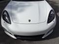 Carrara White - Panamera Turbo Photo No. 13