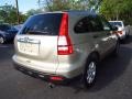 2008 Borrego Beige Metallic Honda CR-V EX 4WD  photo #2