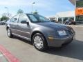 Platinum Grey Metallic - Jetta GL Sedan Photo No. 7