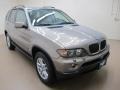 Kalahari Beige Metallic 2005 BMW X5 3.0i