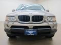Kalahari Beige Metallic - X5 3.0i Photo No. 3