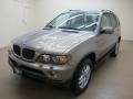 Kalahari Beige Metallic - X5 3.0i Photo No. 4