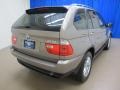 Kalahari Beige Metallic - X5 3.0i Photo No. 9