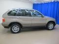 Kalahari Beige Metallic - X5 3.0i Photo No. 10