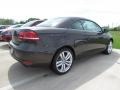 Black Oak Brown Metallic - Eos Executive Photo No. 2