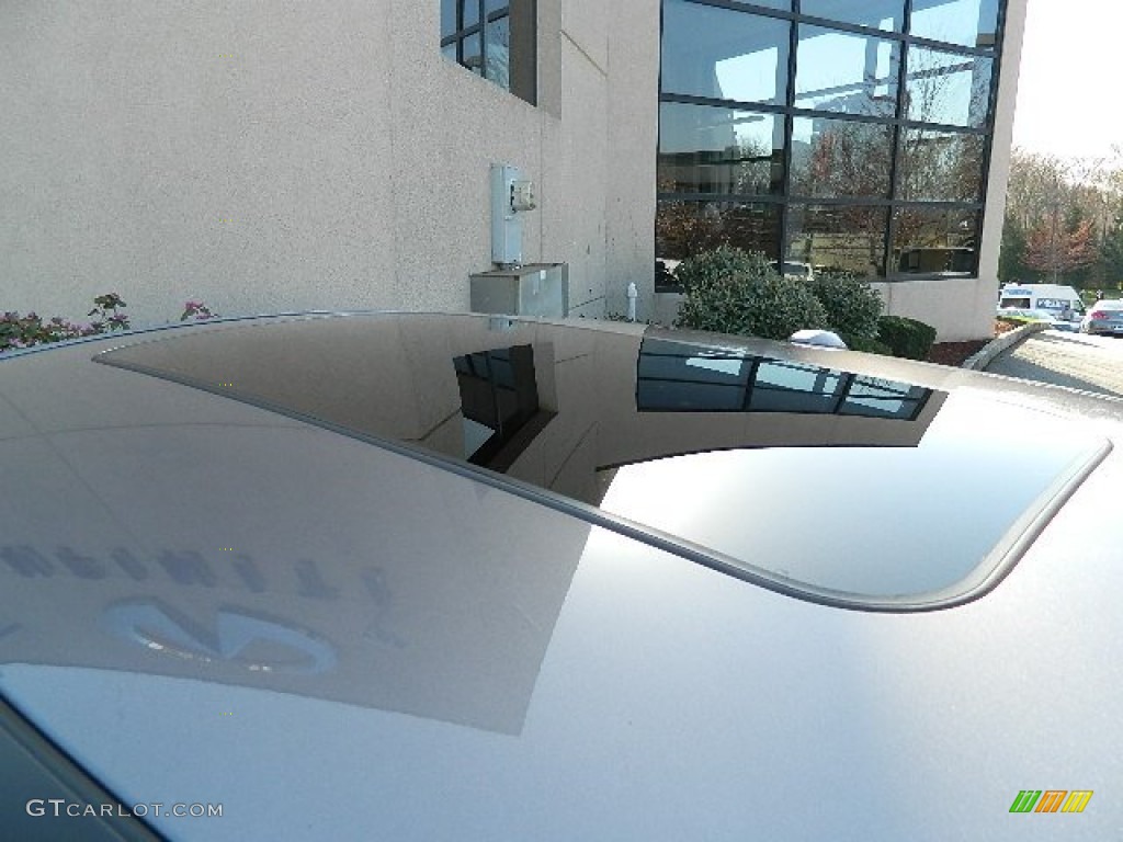 2010 G 37 x AWD Coupe - Amethyst Graphite / Graphite photo #3