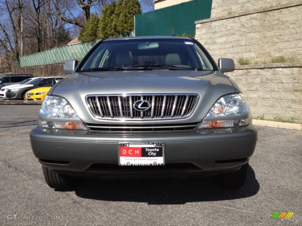2003 RX 300 AWD - Mineral Green Opalescent / Ivory photo #3