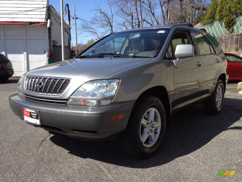2003 RX 300 AWD - Mineral Green Opalescent / Ivory photo #4