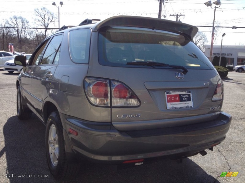 2003 RX 300 AWD - Mineral Green Opalescent / Ivory photo #9