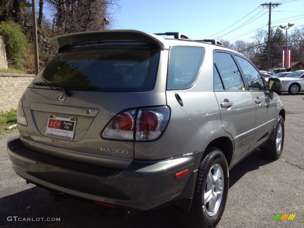 2003 RX 300 AWD - Mineral Green Opalescent / Ivory photo #11