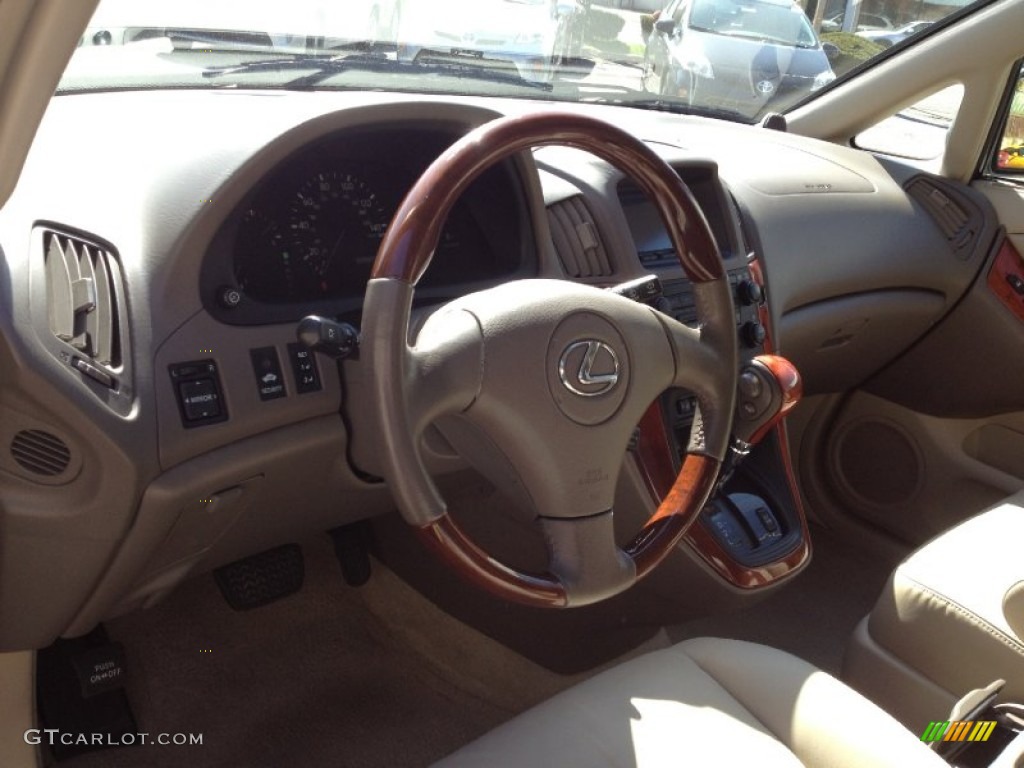 2003 RX 300 AWD - Mineral Green Opalescent / Ivory photo #24
