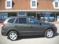 2010 Black Forest Green Metallic Hyundai Santa Fe SE  photo #2