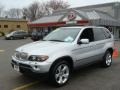 2005 Titanium Silver Metallic BMW X5 4.4i  photo #1