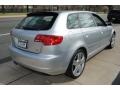 Light Silver Metallic - A3 3.2 quattro Photo No. 6
