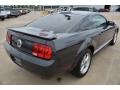 2007 Alloy Metallic Ford Mustang V6 Premium Coupe  photo #5