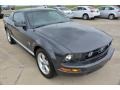 Alloy Metallic 2007 Ford Mustang V6 Premium Coupe Exterior