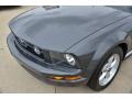 2007 Alloy Metallic Ford Mustang V6 Premium Coupe  photo #12