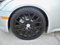 Liquid Platinum Metallic - G 35 Coupe Photo No. 6
