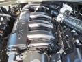 Brilliant Black Crystal Pearl - Charger SE Photo No. 23