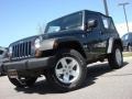 Steel Blue Metallic - Wrangler X 4x4 Photo No. 1