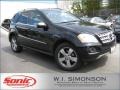 Black - ML 350 Photo No. 1