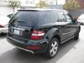 Black - ML 350 Photo No. 2